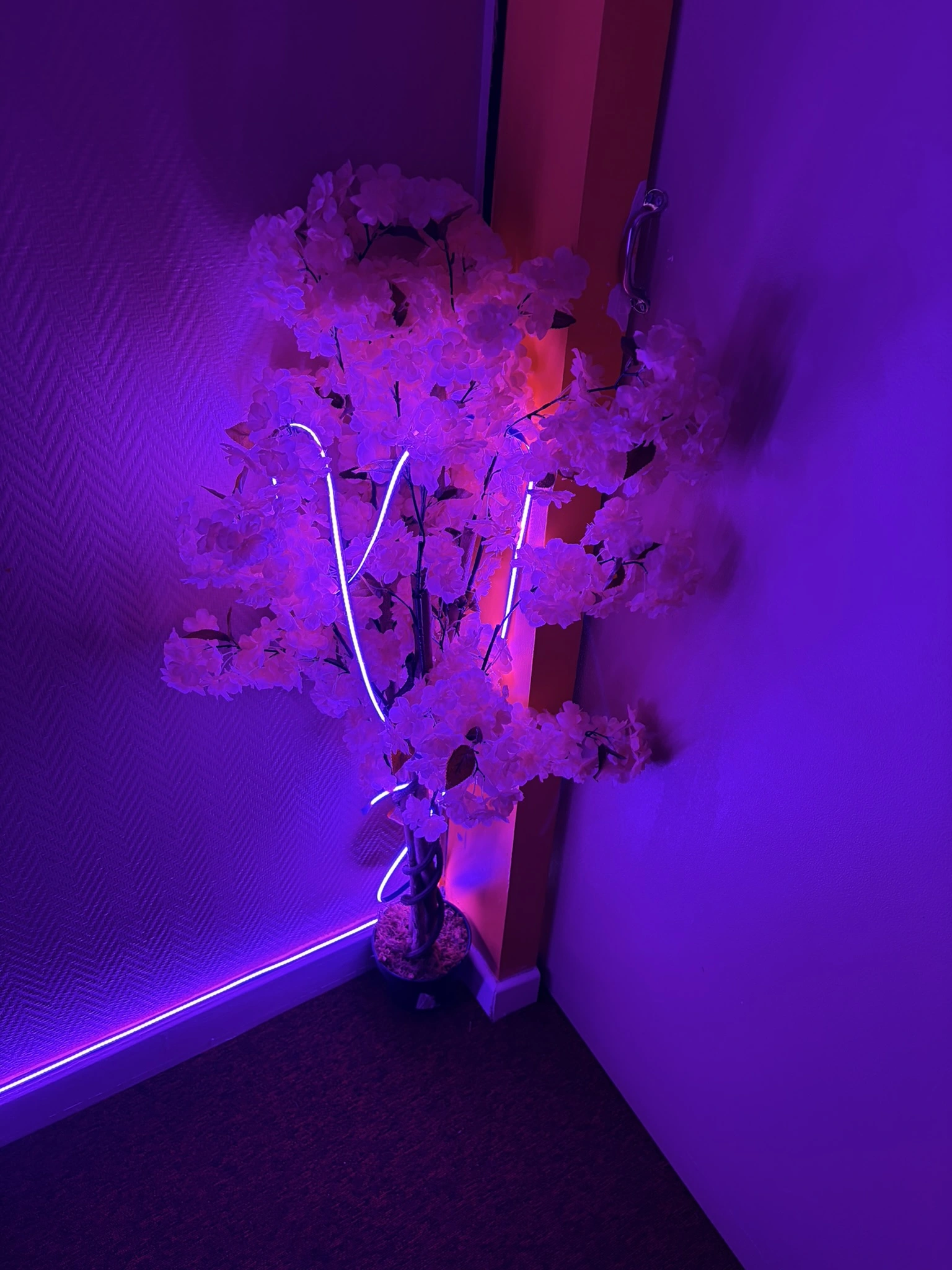 Massage naturiste chez Chaba Thaï à Paris